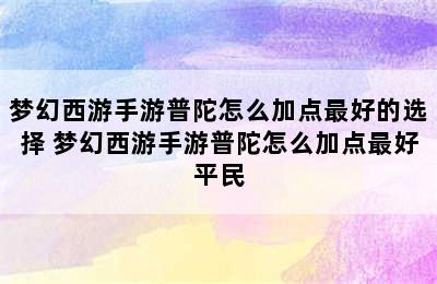 梦幻西游手游普陀怎么加点最好的选择 梦幻西游手游普陀怎么加点最好平民